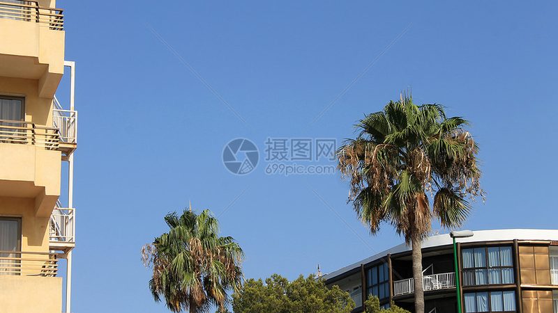 全球退税公司排名背后的真相：揭秘退税服务背后的逻辑